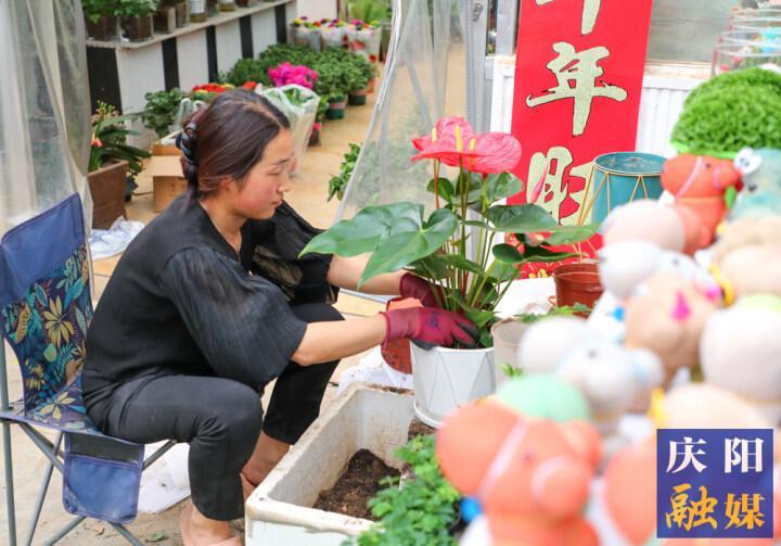 【攝影報道】西峰區花卉市場春意盎然